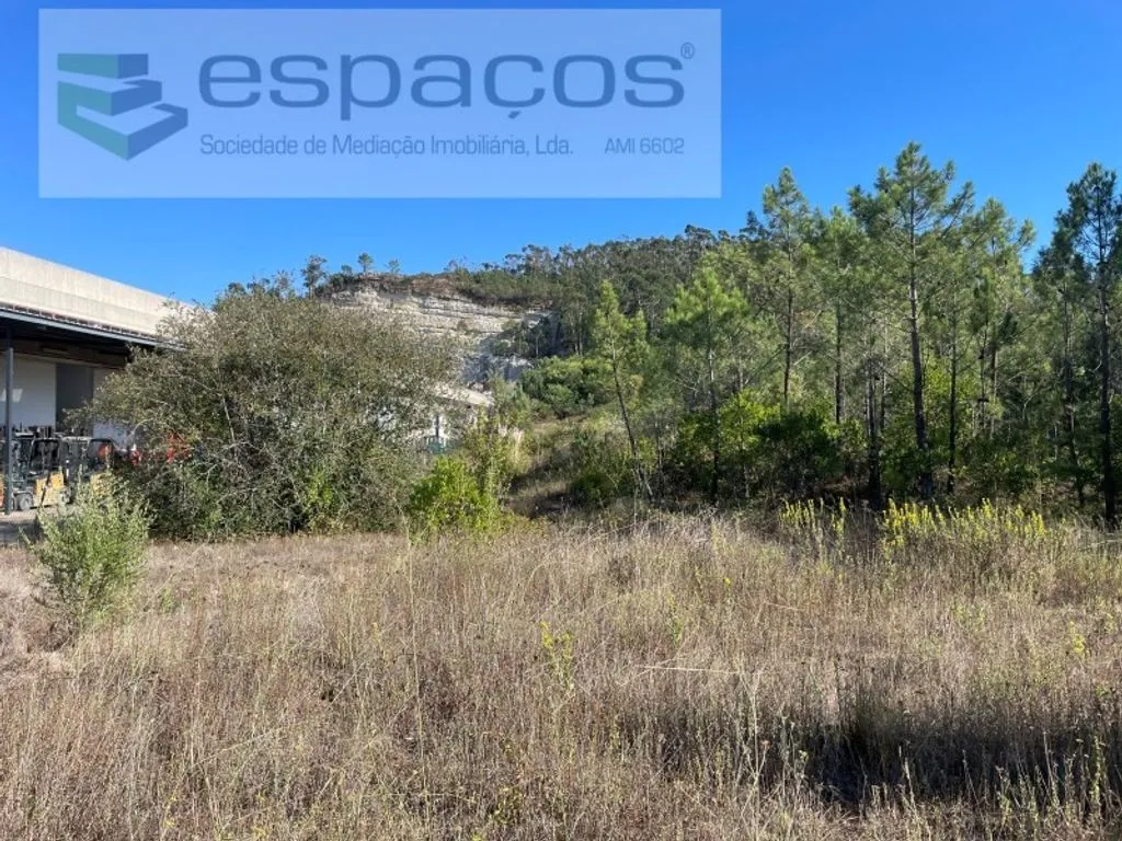 Giardino - Rustic Land with Industrial Potential in Mafra