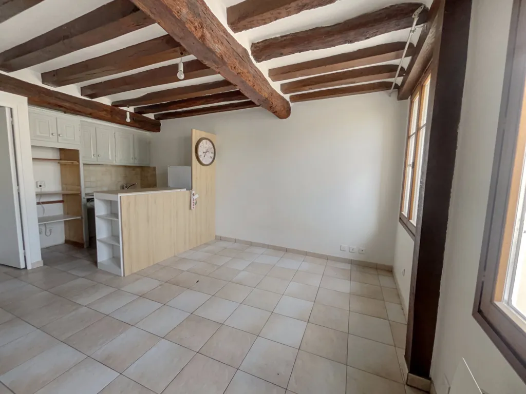 Toad - Duplex Flat with Balcony in Place Notre Dame