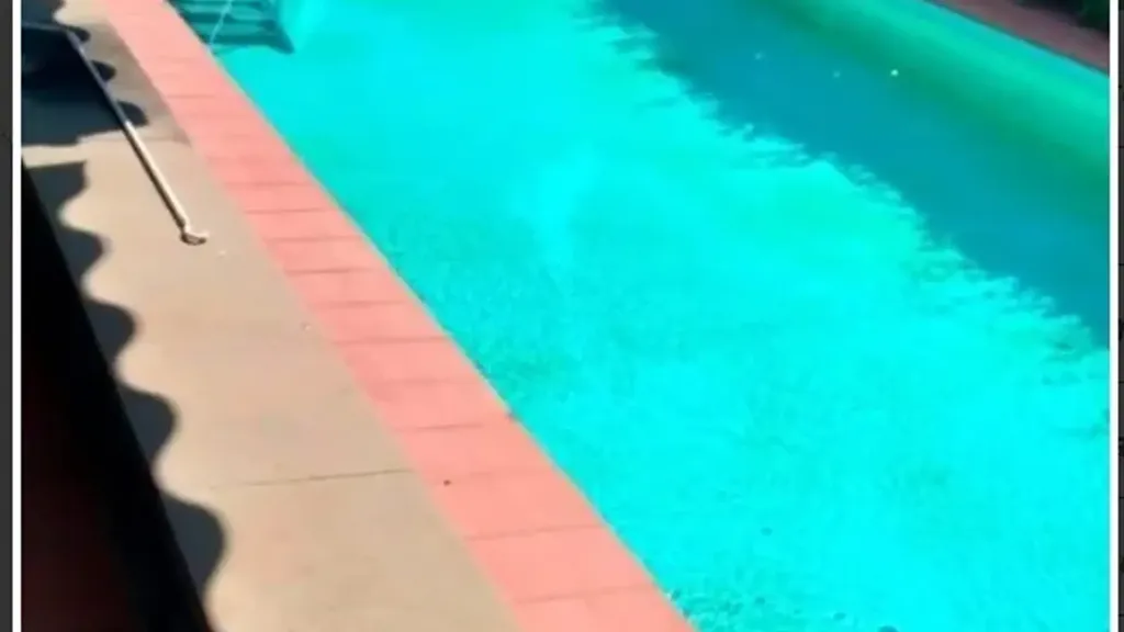 Piscine - Villa with Pool in Forte Dei Marmi