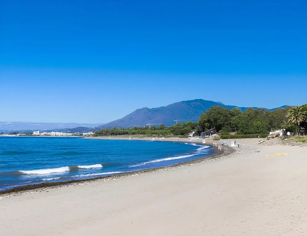 Luxury Villa with Pool in Estepona