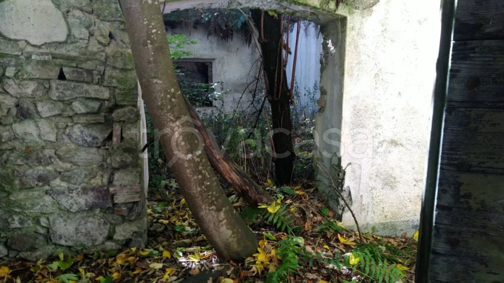 Aed - Rustic Complex for Restoration in Sampeyre
