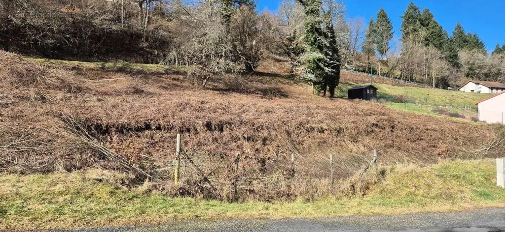 Giardino - Constructible Plot with South-East Exposure in Pontaumur