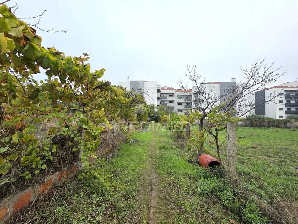 land_plot