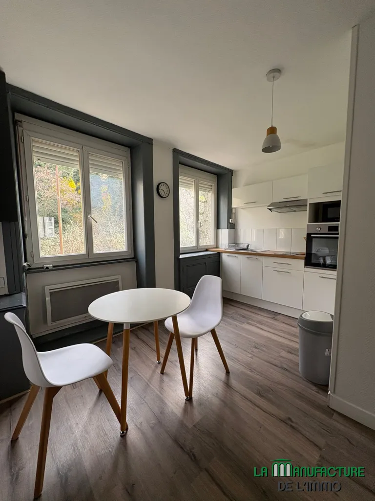 Salle à manger - Appartement T2 Meublé au Centre-Ville de Saint-Étienne