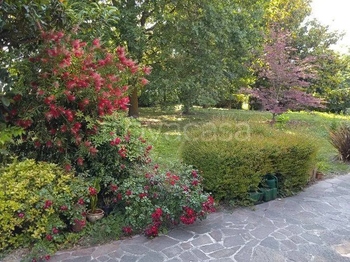 Jardin - Spacious Villa with Private Garden in Ferrara