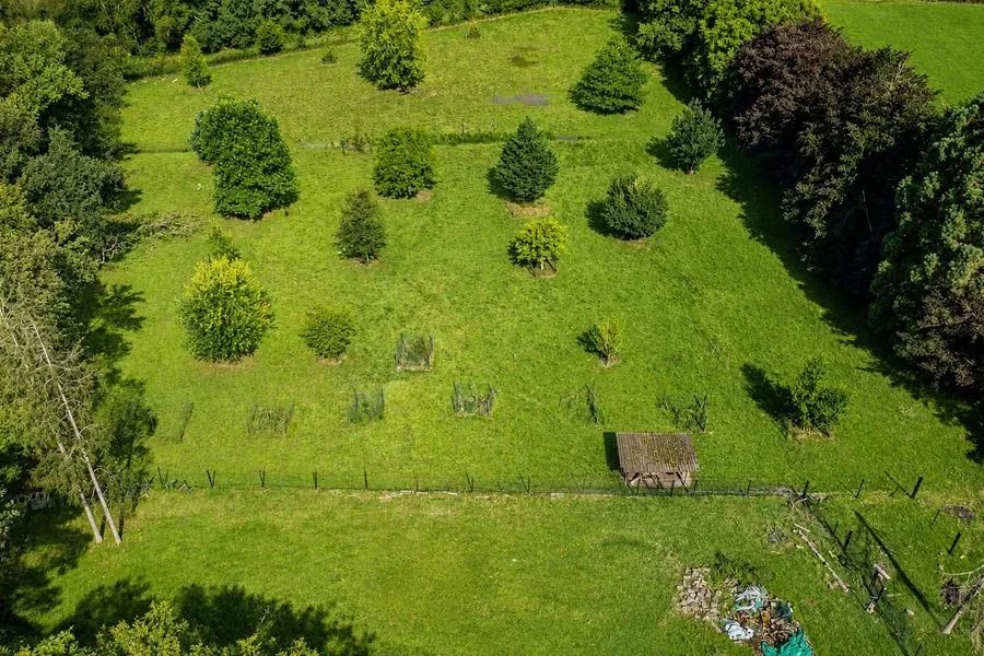 Õhuvaade - Historic Manor with Park in Géronsart