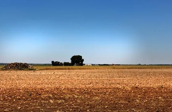 Aed - Development Plot in Roda, Albacete