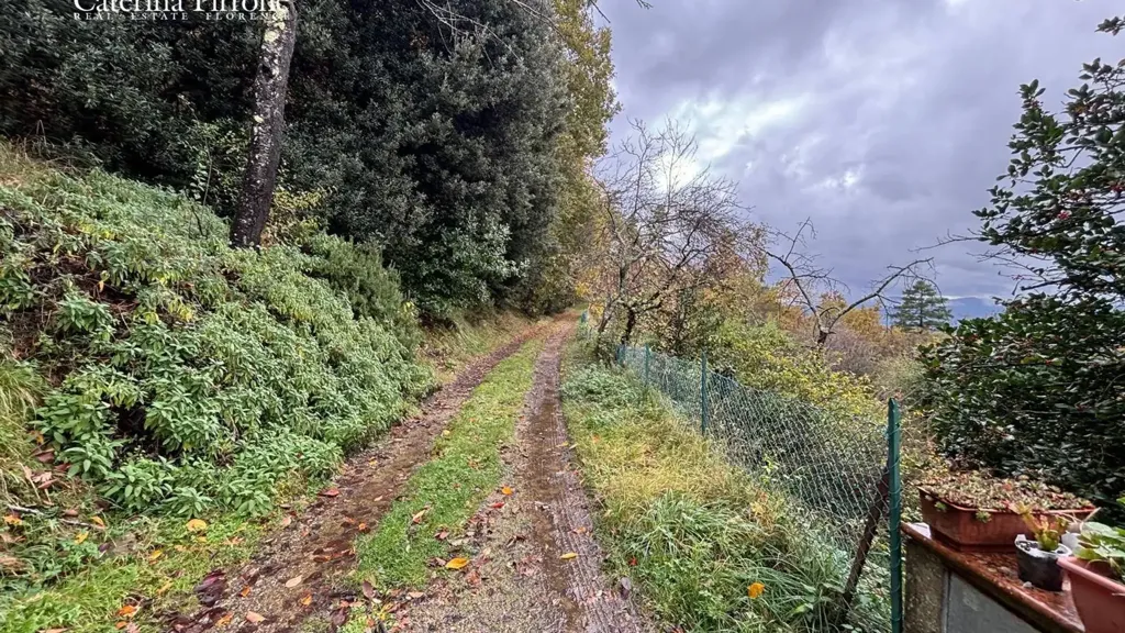 Aed - Terraced House with Garden in Reggello