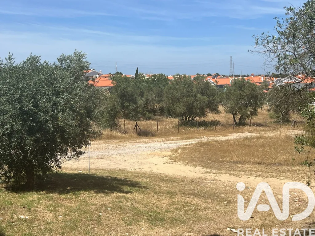 Jardin - T2 Apartment with Garden View in Palmela