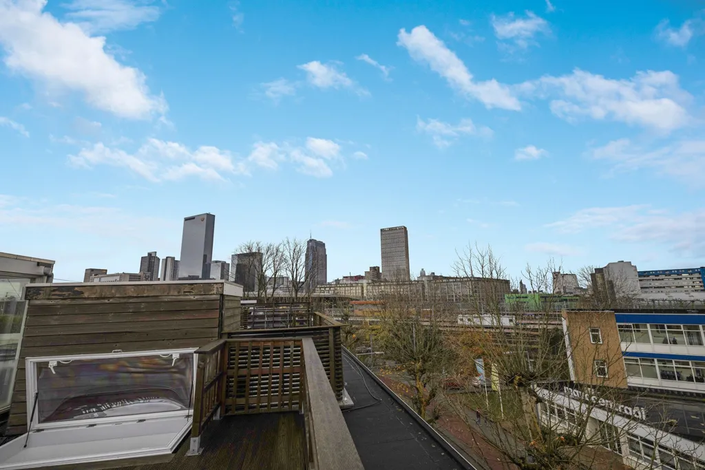Terrasse - Maisonette with Rooftop Terrace near Rotterdam Centraal