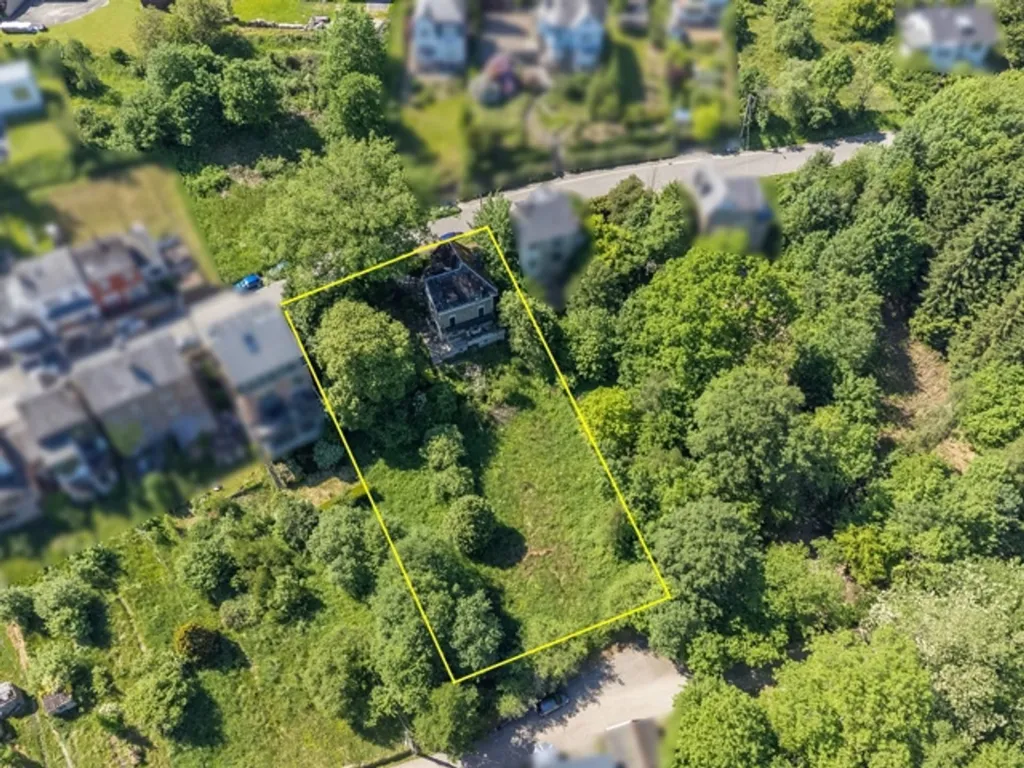 Õhuvaade - Villa with View for Renovation in Trois-Ponts