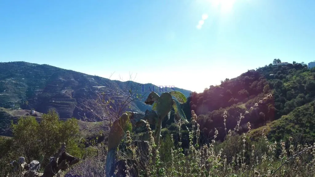 Traditional Finca with Mountain Views in Sayalonga