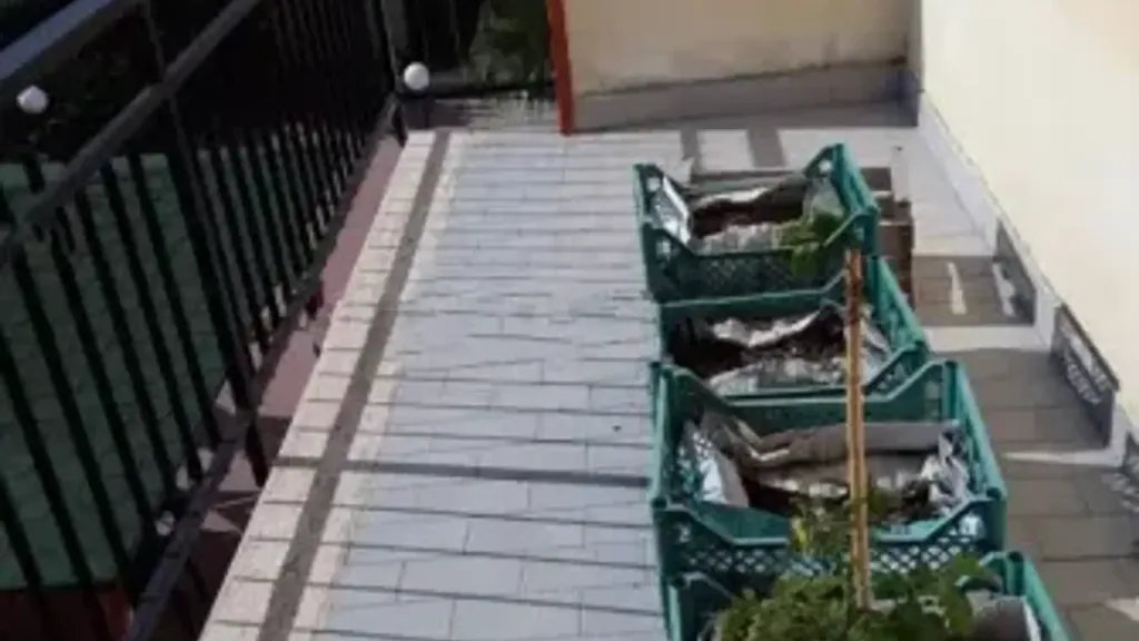 Balcony - Apartment with Garden in Amantea