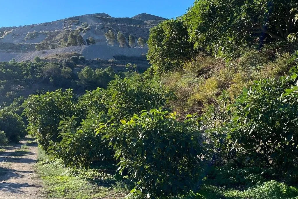 Aed - Luxury Farmhouse with Pool in Motril