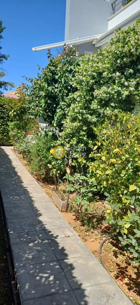 Aed - Penthouse with Garden in Varigotti