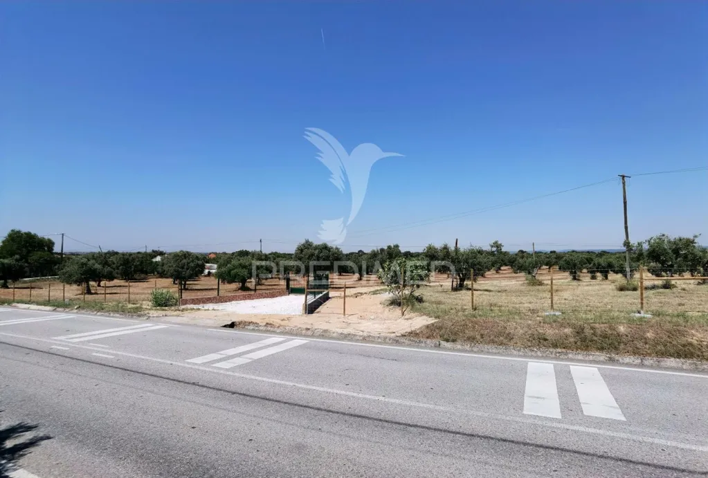 Jardin - Rural Quinta with Olive Grove in Vaqueiros