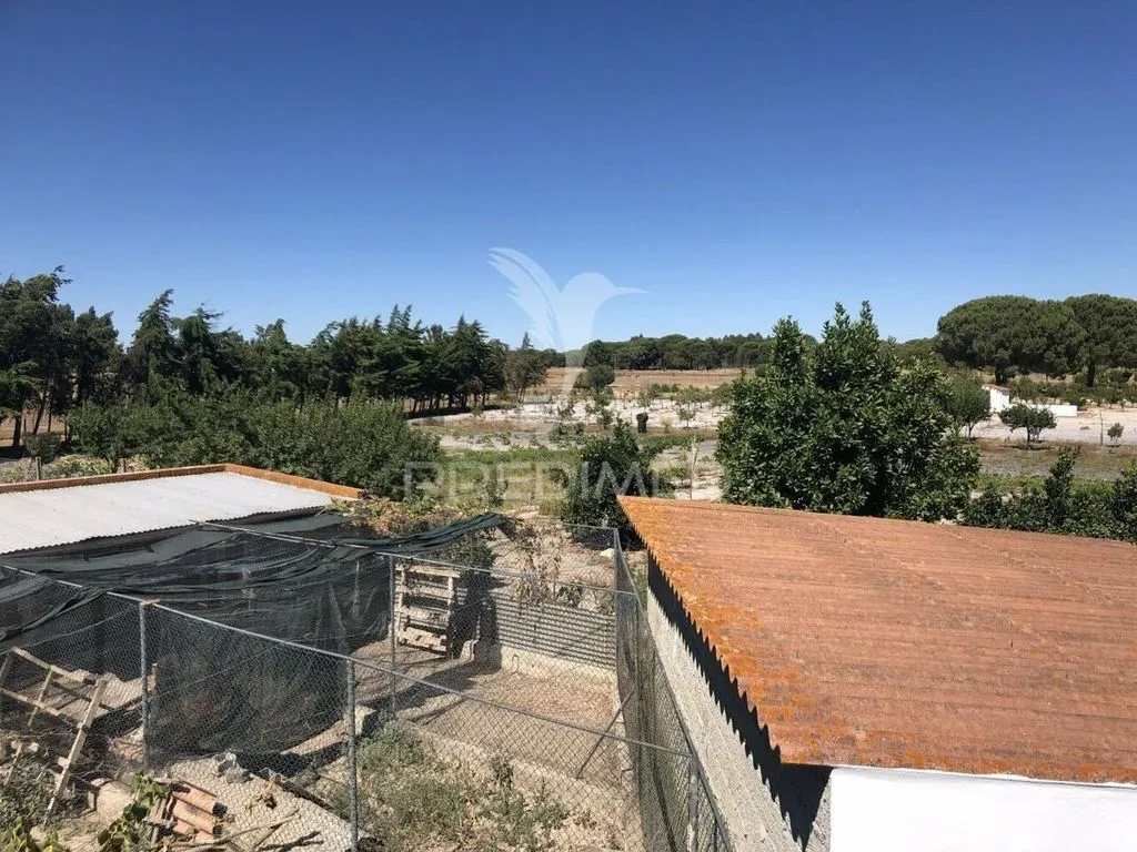 Terrasse - Luxury Villa with Vineyard in Grândola