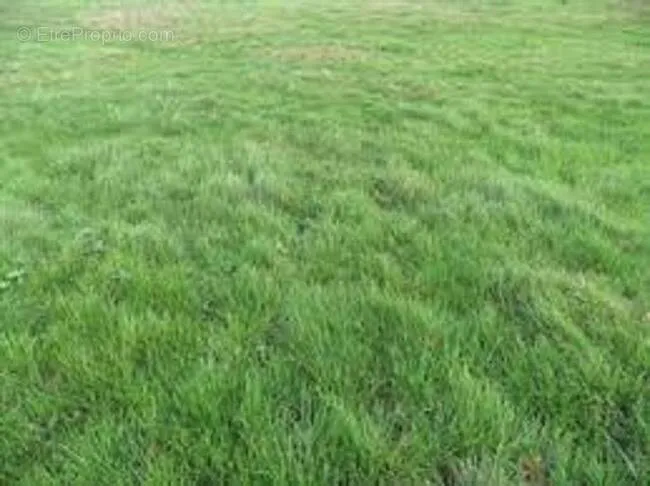 Jardin - Terrain avec Vue Dégagée à Courances