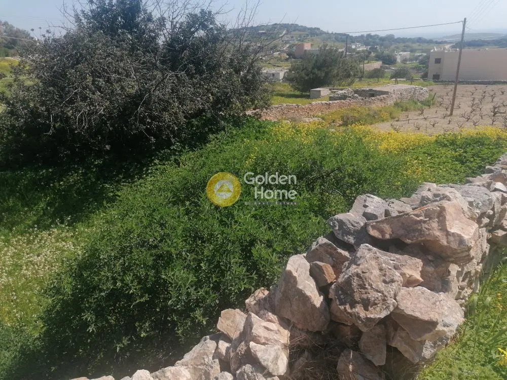 Aed - Plot with Unrestricted View in Syros - Piskopi