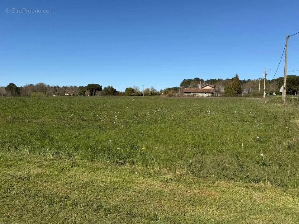 Garden - Buildable Plot with Garden in Targon