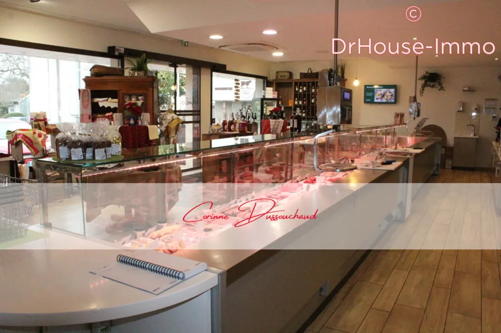 Toad - Commercial Space with Multiple Amenities in Chabanais