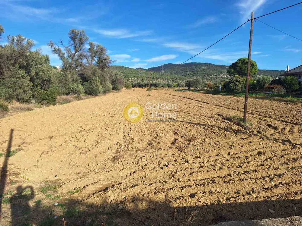 Jardin - Agricultural Plot with Unobstructed View in Chalkida