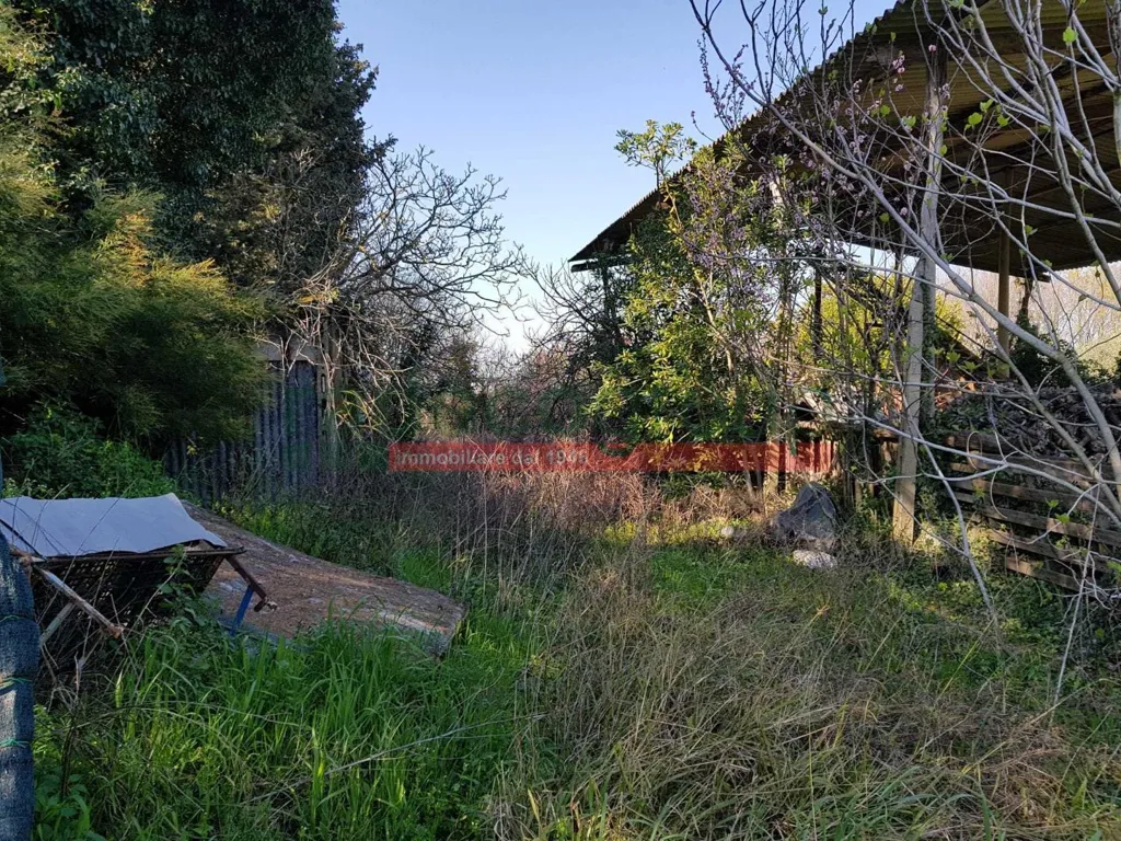 Aed - Tuscan Villa with Garden in Collesalvetti