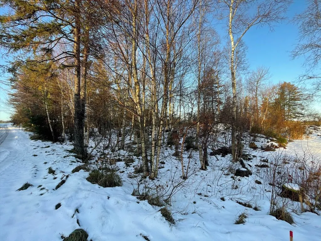 Maa asukohas Hadsund