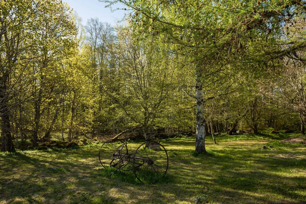 Jardin - Generations Home with Multiple Buildings in Ödeshög