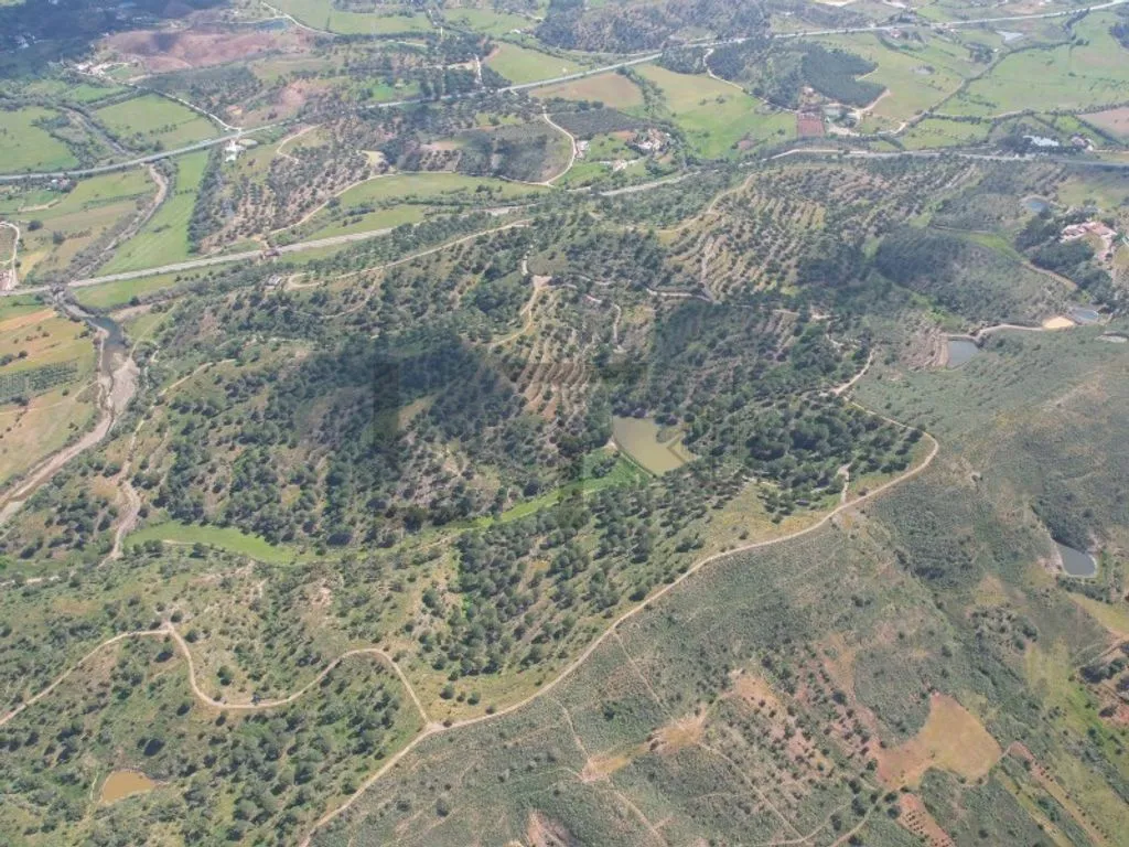 land_plot