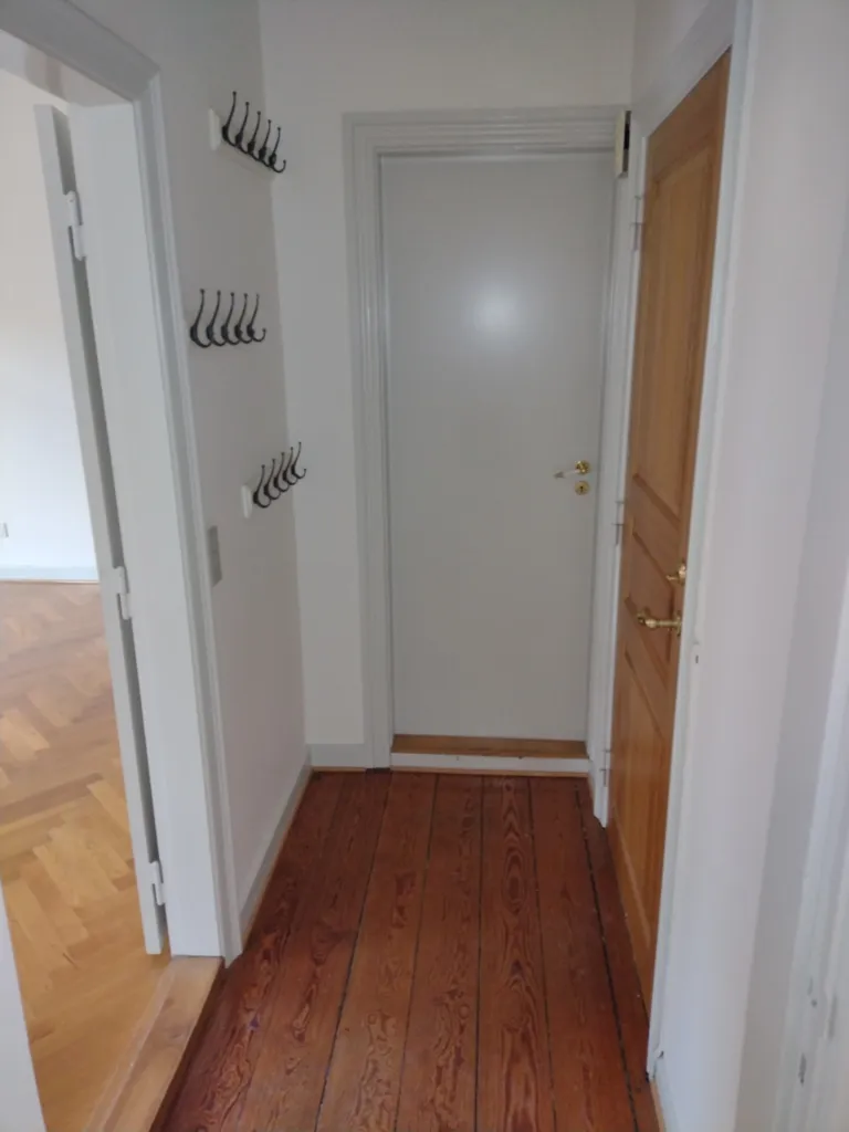 Esik - Spacious Renovated Penthouse in Odense C