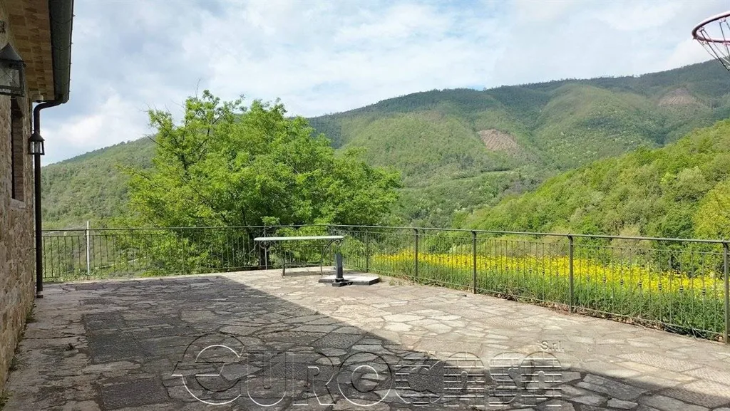 terrace_patio