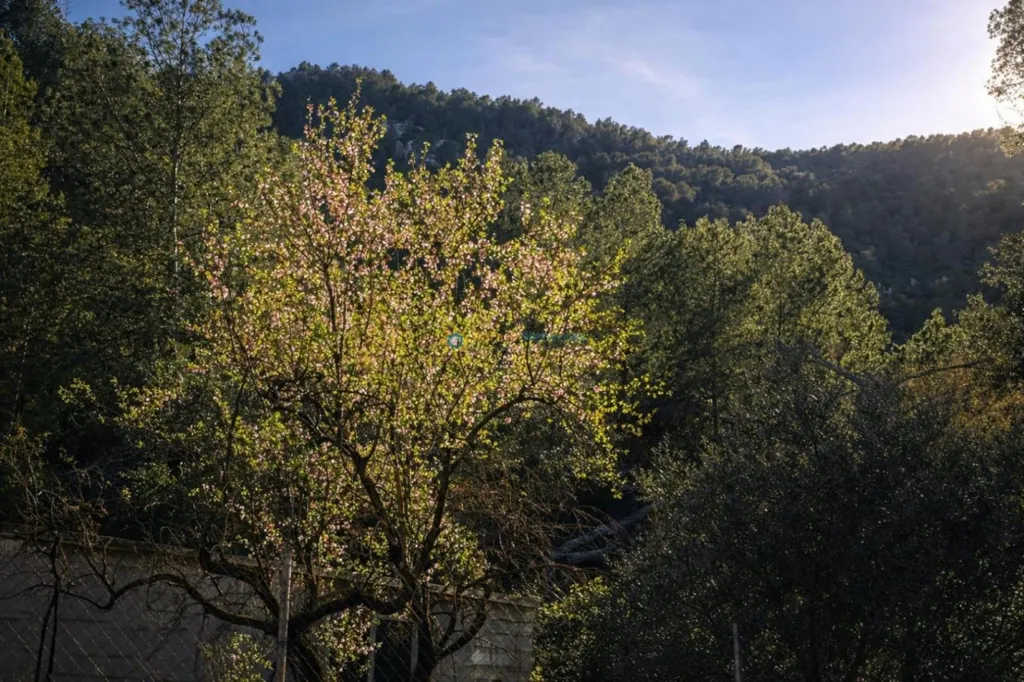 Detached House with Land in Sierra de Mariola