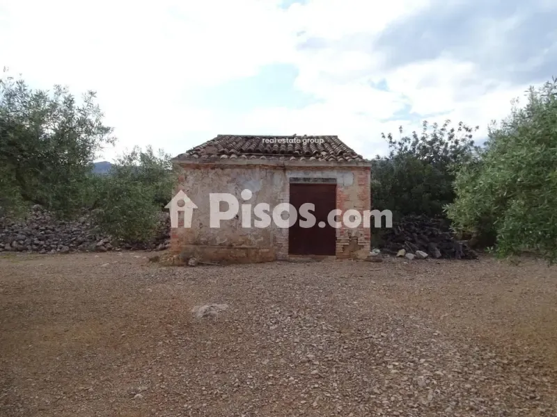 Välivaade - Rustic Farm with Olive Grove in Xerta