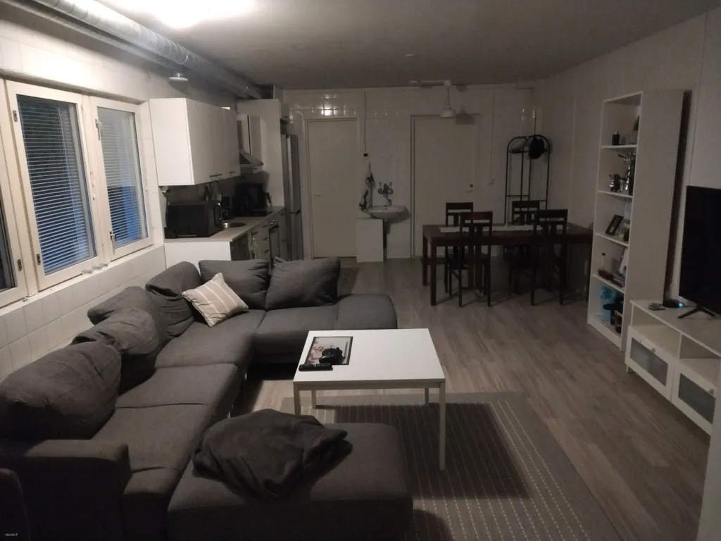 Séjour - Artisan Villa with Sauna in Heinola
