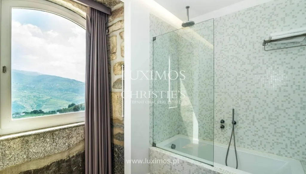 Vannitoad - 5-Star Quinta with Vineyard Views in Douro Valley
