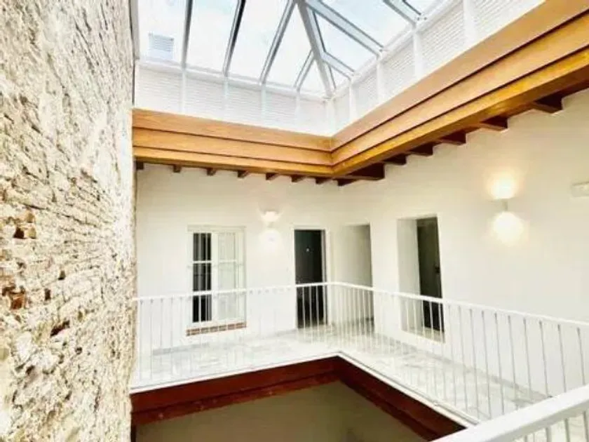 Toad - New Flat in Historic Centre, Cádiz