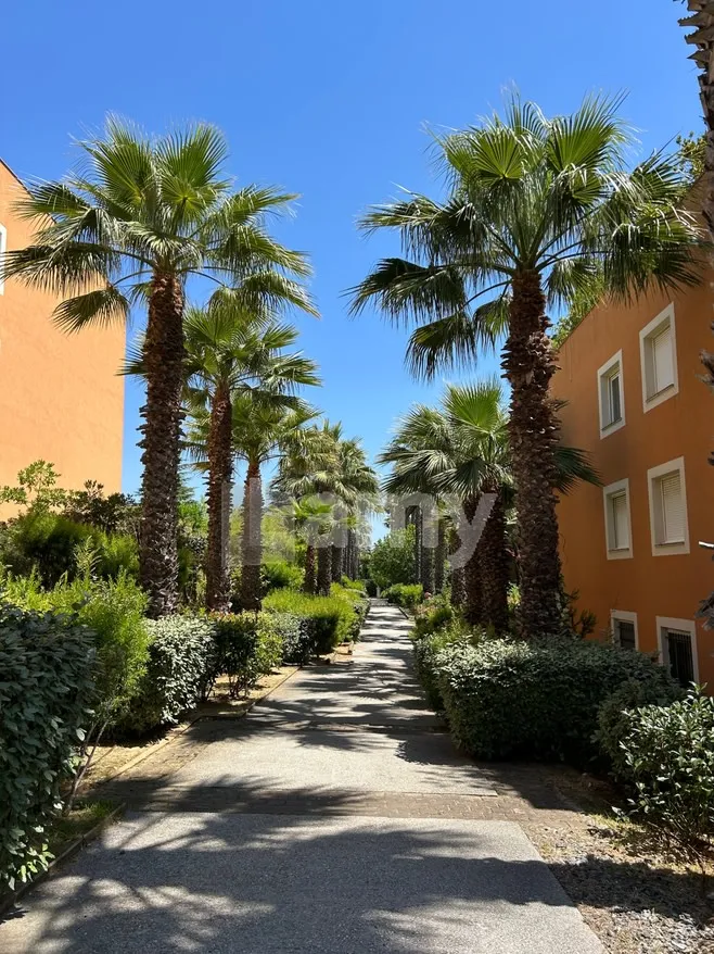 Esterno - Charming T3 Apartment with Loggia in Nice