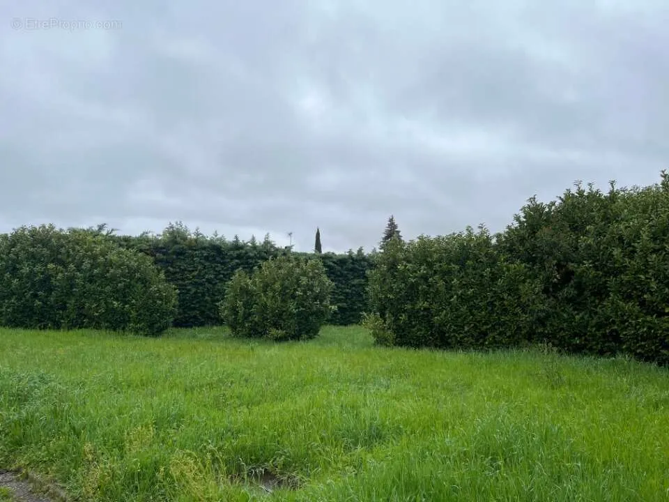 Jardin - Terrain Viabilisé avec Jardin à Loriol-sur-Drome