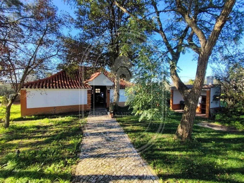 Aed - Luxury House with Pool in Tomar, Santarém