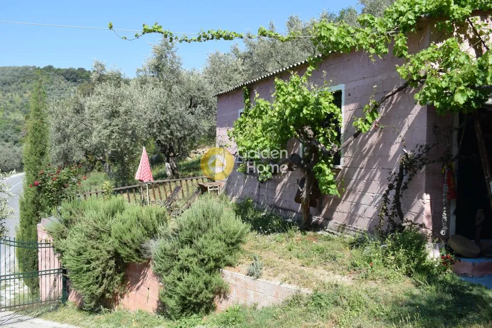 Extérieur - Traditional Olive Grove with Panoramic Views in Pelion