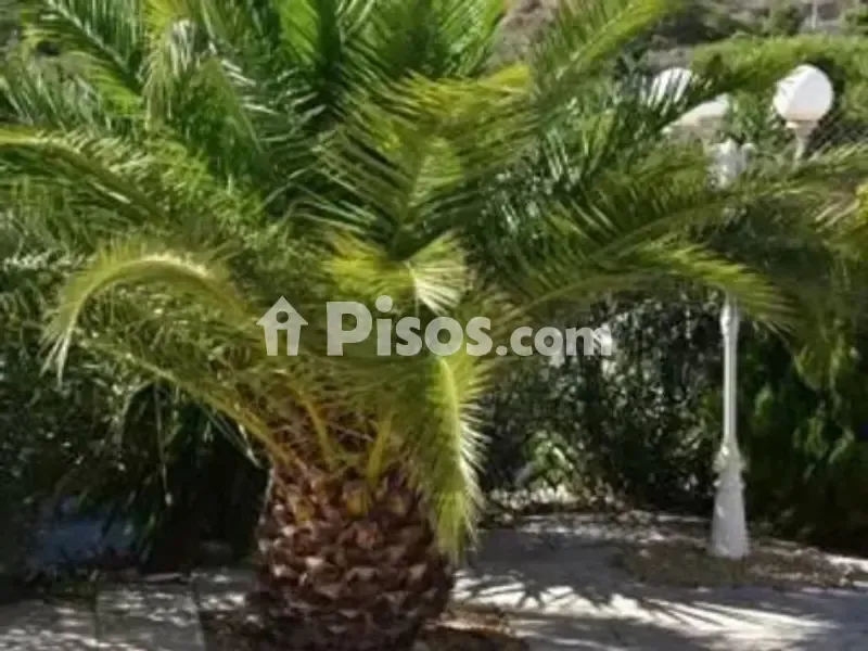 Jardin - Rustic Villa with Sea View in Montnegre