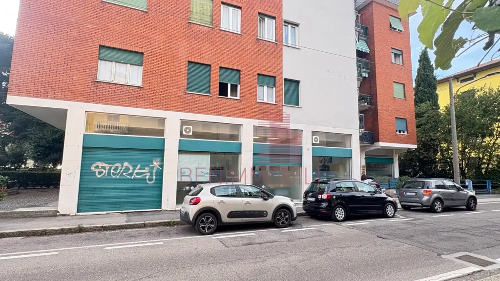 Außenansicht - Loft with Office Space in Brescia
