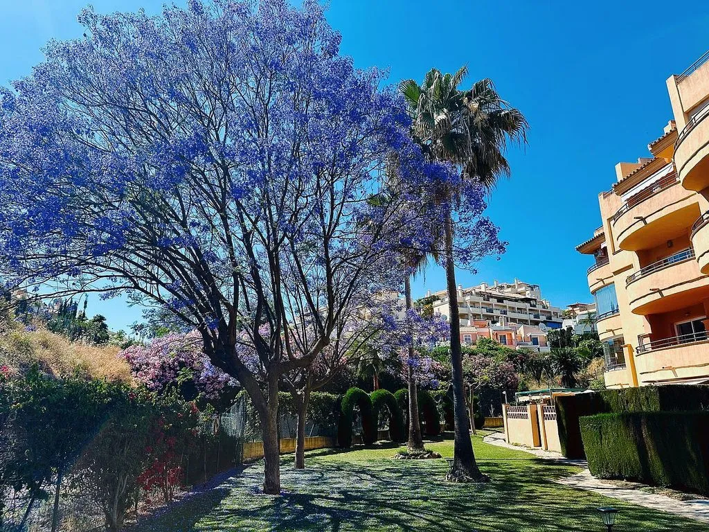 Aed - Apartment with Pool and Golf View in Riviera del Sol