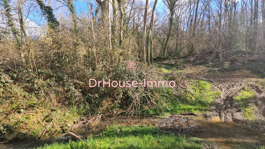 Aed - Non-Constructible Wooded Land in Anoye