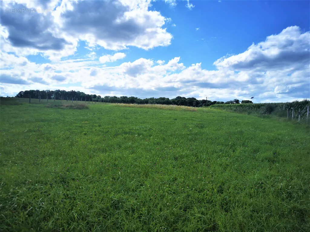 Jardin - Terrain à Bâtir de 5448 m² à Courboin