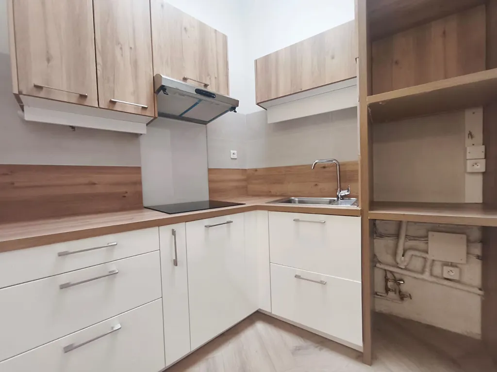 Kitchen - Renovated 1-Bed Flat in Lille Centre