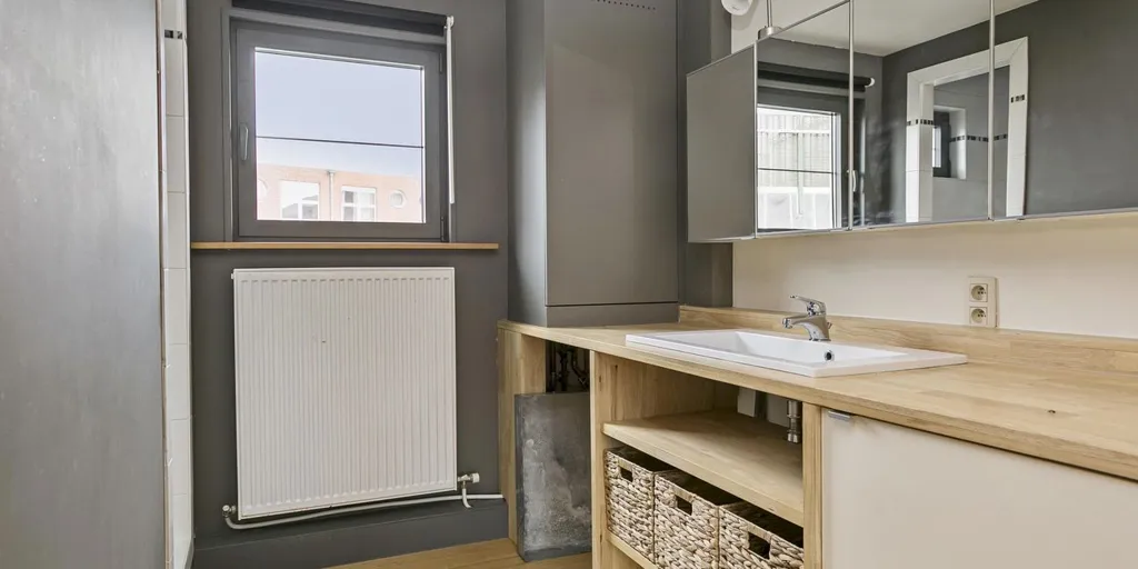 Bathrooms - Renovated Mixed-Use in Herentals with Duplex