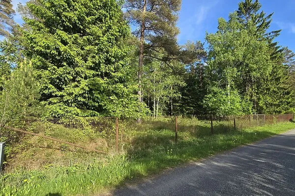 Aed - Country Plot with Forest Access in Koppelmaa