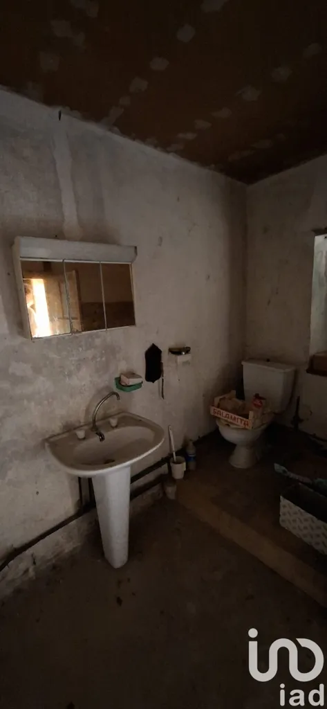 Bagni - Restoration Barn with Garden in Essoyes